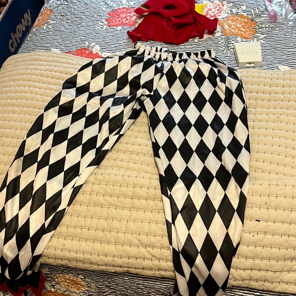 Clown pants